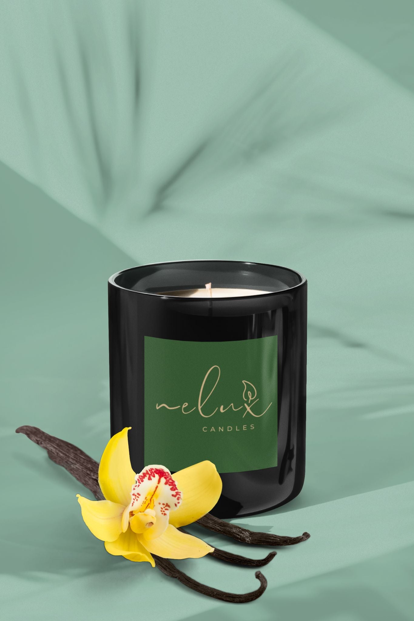 collection-image